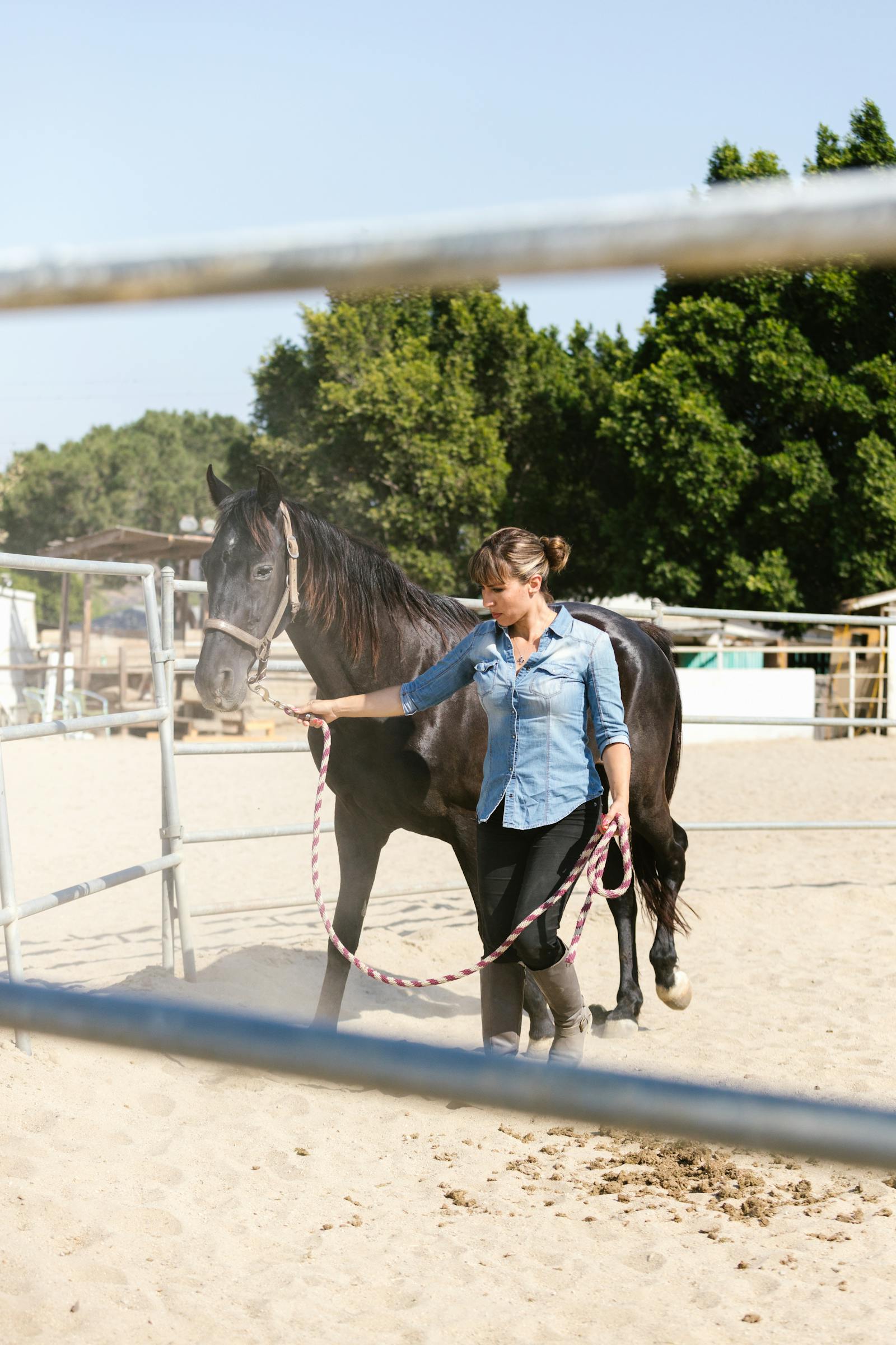 Personne en posture d'écoute attentive avec un cheval — équithérapie UNISUS Martigues