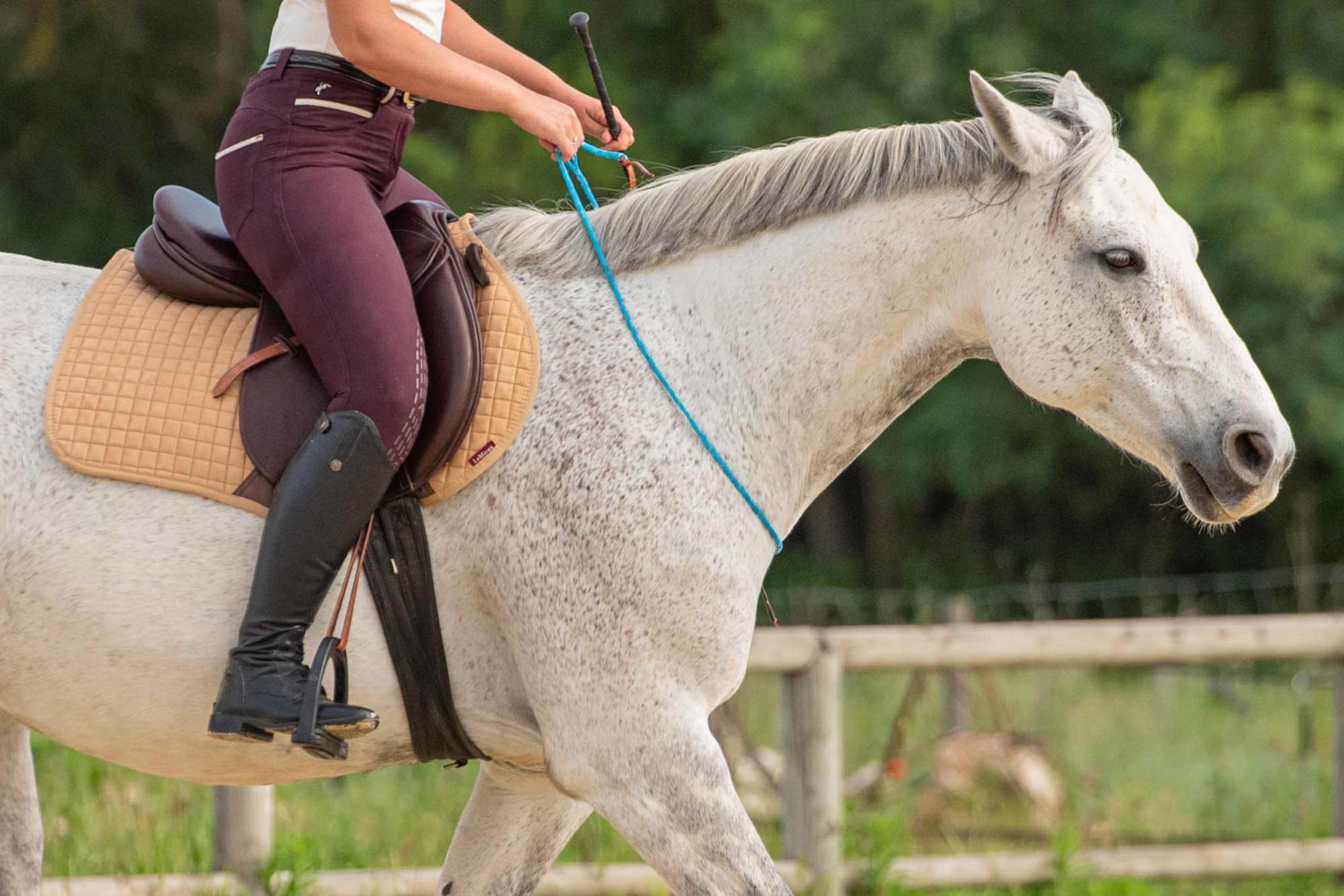 Cavalière sur cheval blanc avec rênes en corde — équitation éthologique respectueuse à UNISUS Martigues