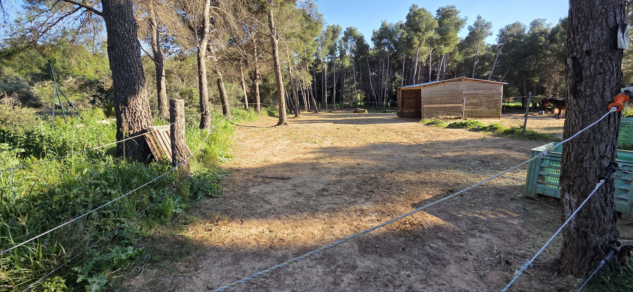 Chevaux UNISUS au paddock — Route de Saint-Macaire, 13500 Martigues
