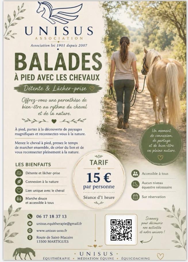 Balades à pieds avec les chevaux : détente et lâcher_prise.
